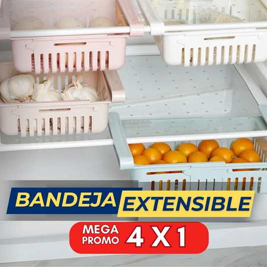 Refrisuper - 4 bandejas para Refri